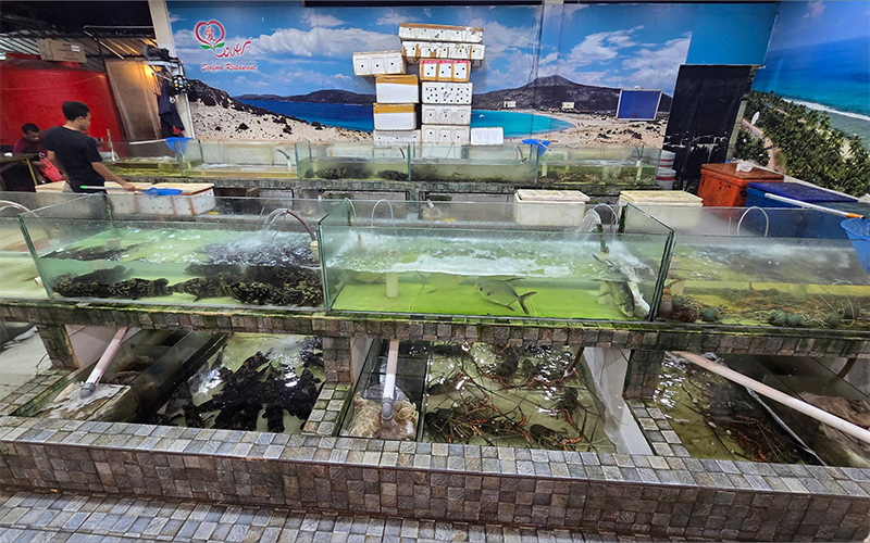 Photo source: Google Maps Image