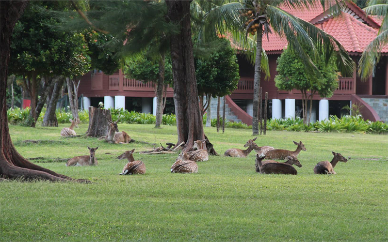 Photo source: Google Maps Image